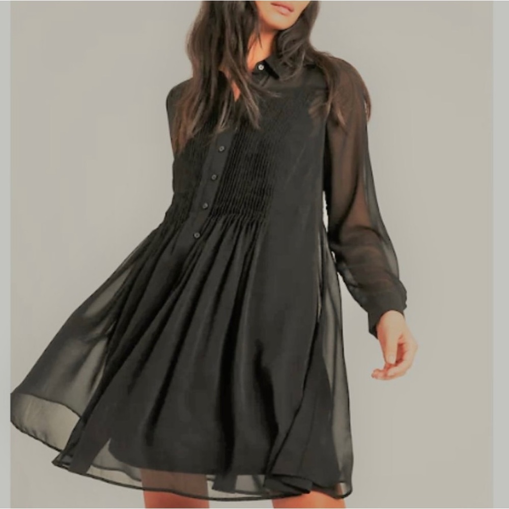 Banana Republic Sheer Pleated Dress